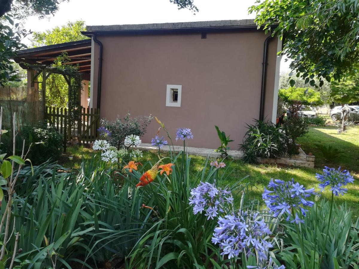 Apartman "Almond House 2" Πούλα Εξωτερικό φωτογραφία