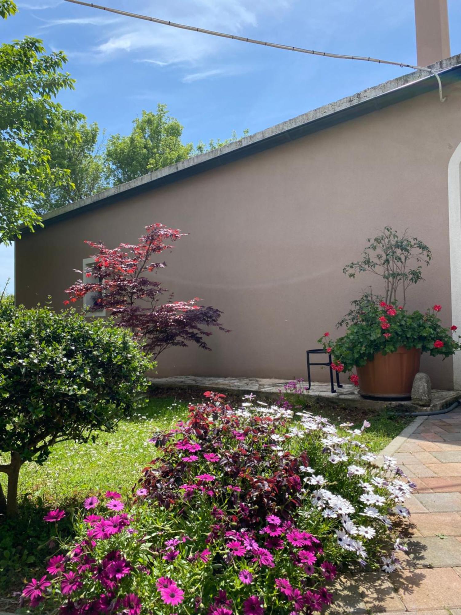 Apartman "Almond House 2" Πούλα Εξωτερικό φωτογραφία