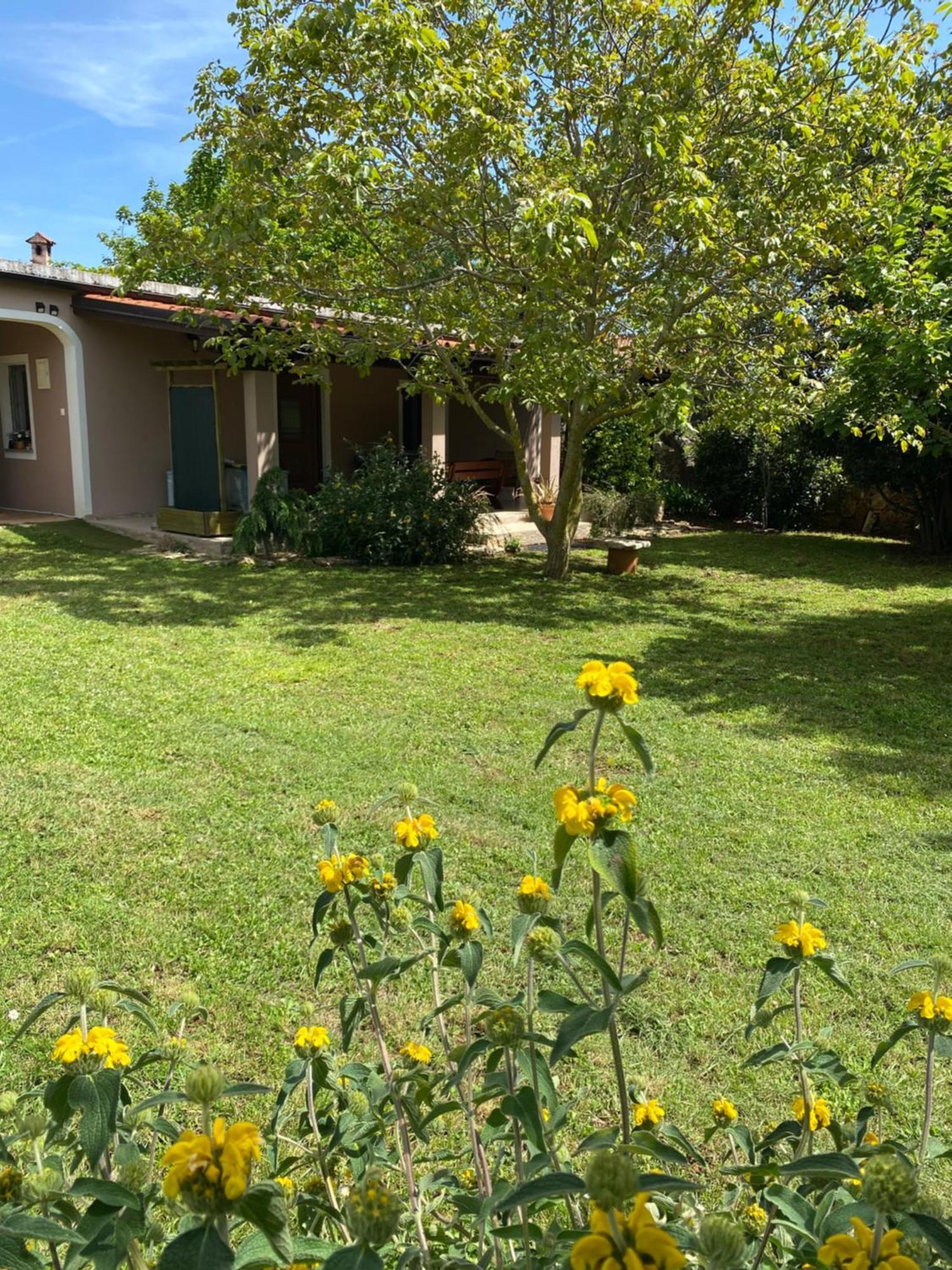 Apartman "Almond House 2" Πούλα Εξωτερικό φωτογραφία